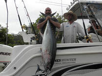 Tuna catch on fishing boat